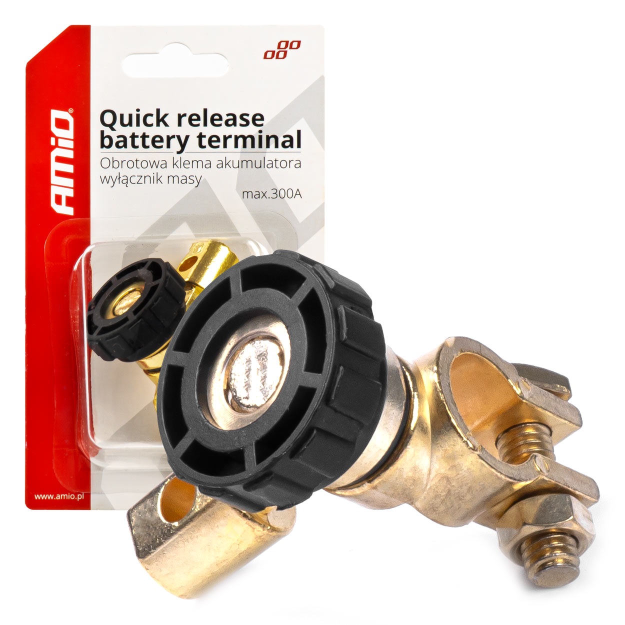 Quick Release Battery Terminal