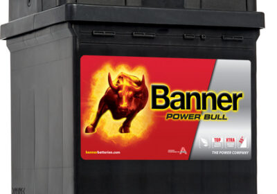 Μπαταρία-κλειστού-τύπου-Banner-Power-Bull-P4208-12V-42Ah-C20-390A