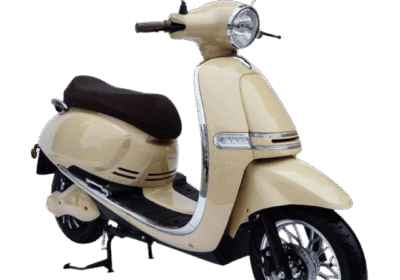 E-fun Pusa Delivery 4000W (Μπεζ)