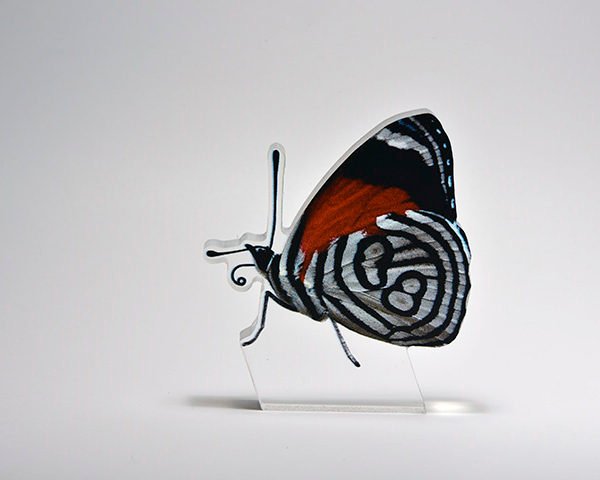 Διακοσμητική Πεταλούδα Butterfly 88 – 6.5x12x2εκ