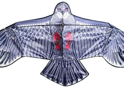 Great_Eagle_Flying_Dragon