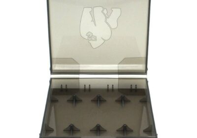 chubby-gorilla-chubby-gorilla-18