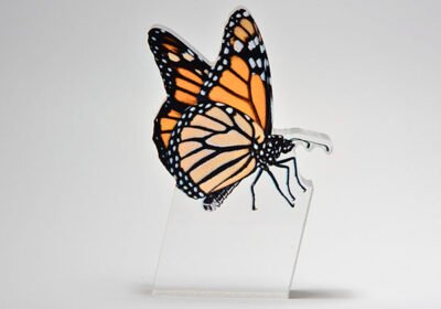 monarch_butterfly_art