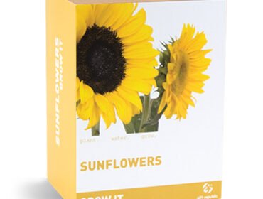 paketo-kalliergias-ilianthon