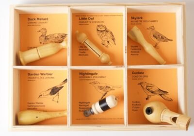 quelle-est-belle-bird-calls-box-_1533_1360x1360