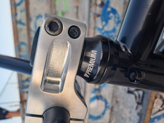 Custom BMX 21in Flybikes, Eclat και Wethepeople